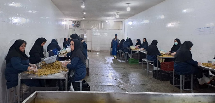 اشتغالزایی و توسعه اقتصادی مهمترین هدف واگذاری اراضی ملی