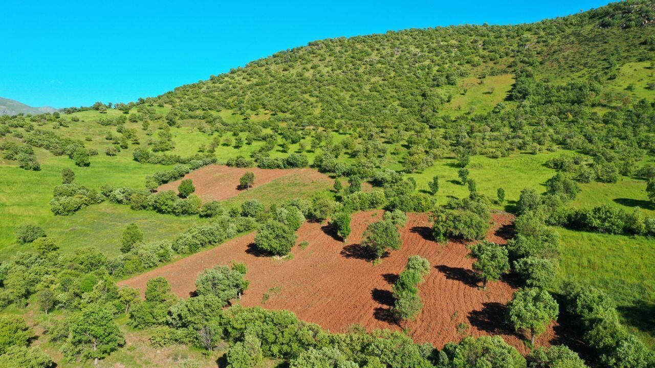 پیام خوزستان