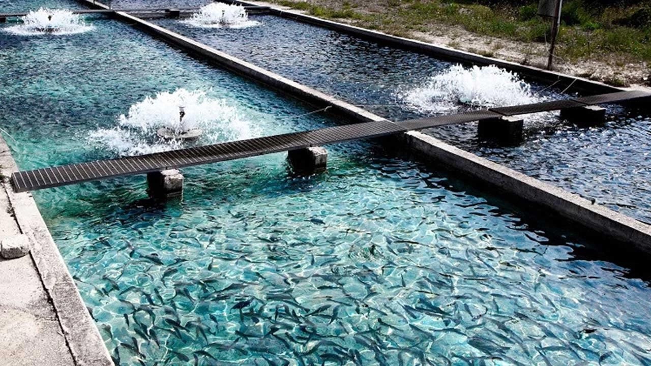 ساماندهی ۱۳ هزار هکتار از اراضی هندیجان برای اجرای طرح توسعه دریامحور