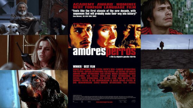 «عشقِ سگی» دوباره زنده شد