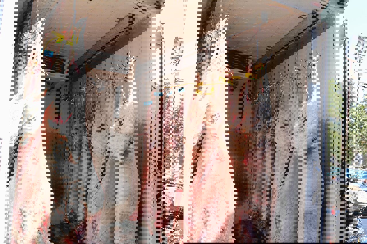 آغاز اجرای گسترده نظارت‌ها بر فرآورده‌های خام دامی در خوزستان