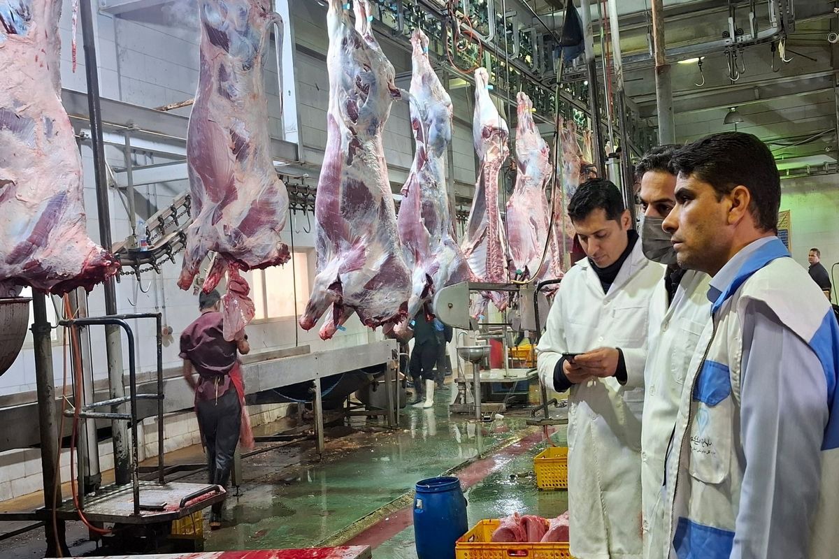 اجرای طرح ۴۵ روزه تشدید نظارت دامپزشکی در خوزستان آغاز شد