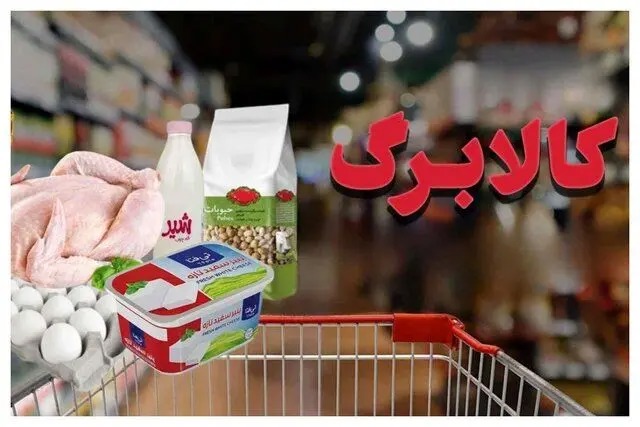 پورمحمدی: تأمین منابع کالابرگ به بانک مرکزی واگذار شده است
