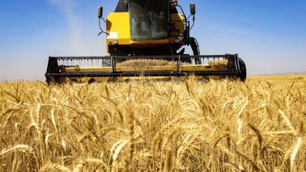 تسهیل دسترسی کشاورزان خوزستانی به اعتبارات بانکی در طرح گندم