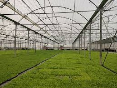 بهره برداری از طرح بزرگ تولیدی و عمرانی به مناسبت هفته جهاد کشاورزی در خوزستان
