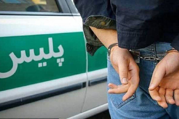 عامل قطع ۵۰۰ درخت در الوار گرمسیری بازداشت شد
