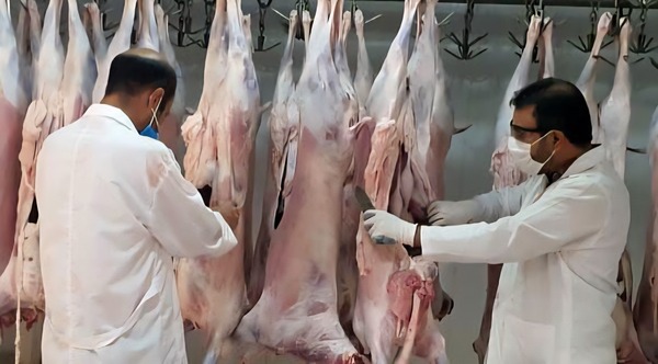آماده‌باش ۹۸ گروه نظارتی دامپزشکی خوزستان در تاسوعا و عاشورا