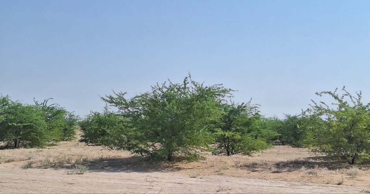 پیام خوزستان