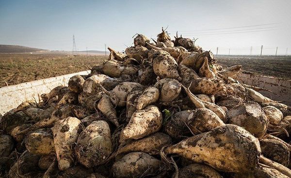 پیام خوزستان