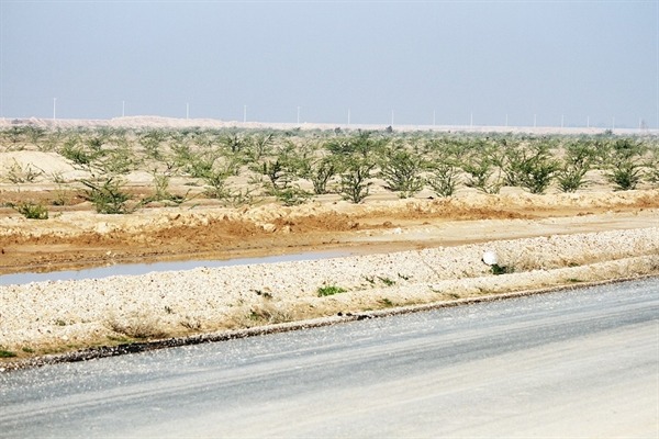 احیای کمربند سبز ۱۲۰۰ هکتاری اهواز