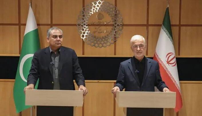 مومنی: روابط اقتصادی ایران و پاکستان باید هم‌سطح روابط سیاسی و فرهنگی ارتقا یابد