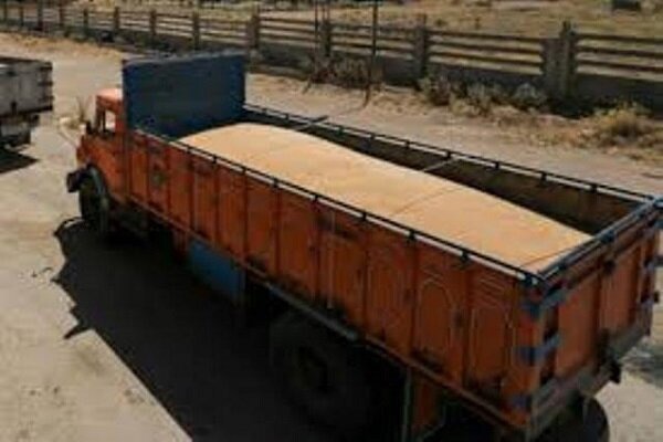 رشد ۴۱ درصدی جابجایی محصول گندم از مبدا خوزستان به نقاط مختلف کشور