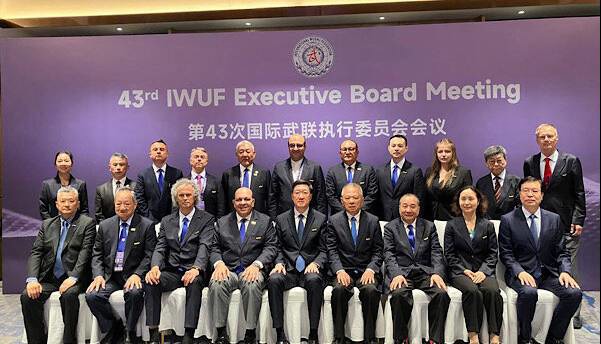 مصر و ایتالیا میزبان رقابت های ووشو قهرمانی جهان