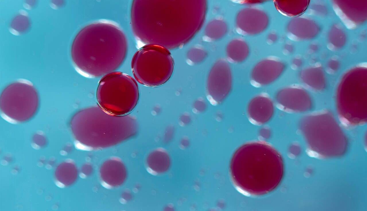 افزایش دی‌اکسیدکربن هوا؛ زنگ خطری برای تغییر ترکیب شیمیایی خون انسان