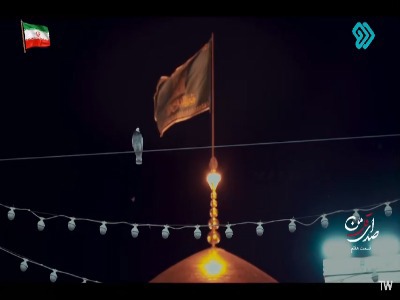 امام رضا ما رو سر راه هم گذاشته!