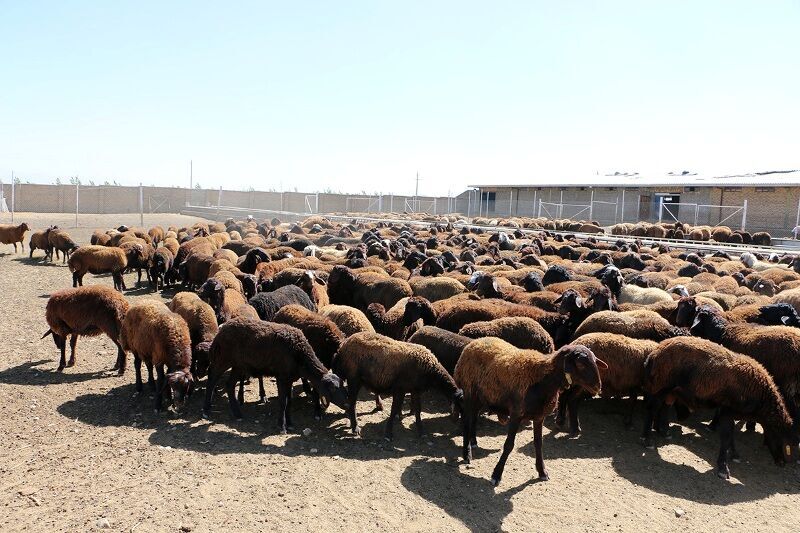 پیام خوزستان