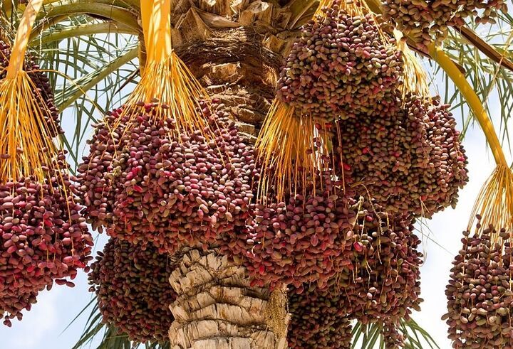 پیام خوزستان