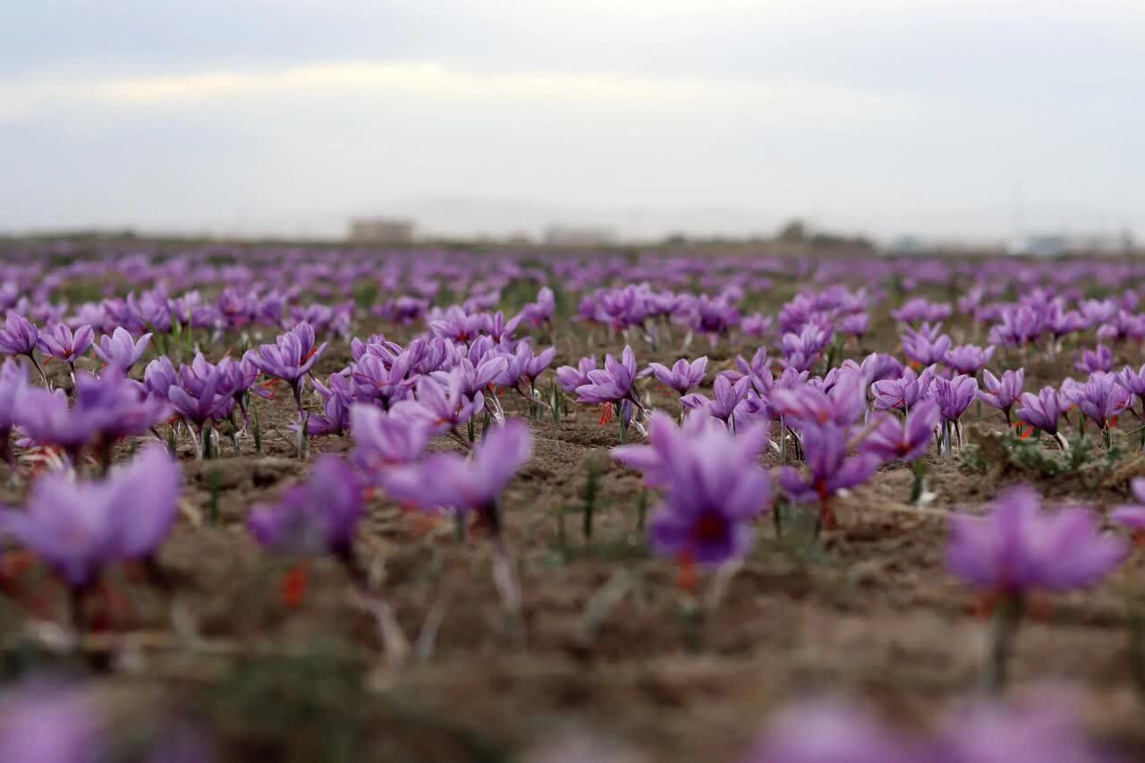 پیام خوزستان