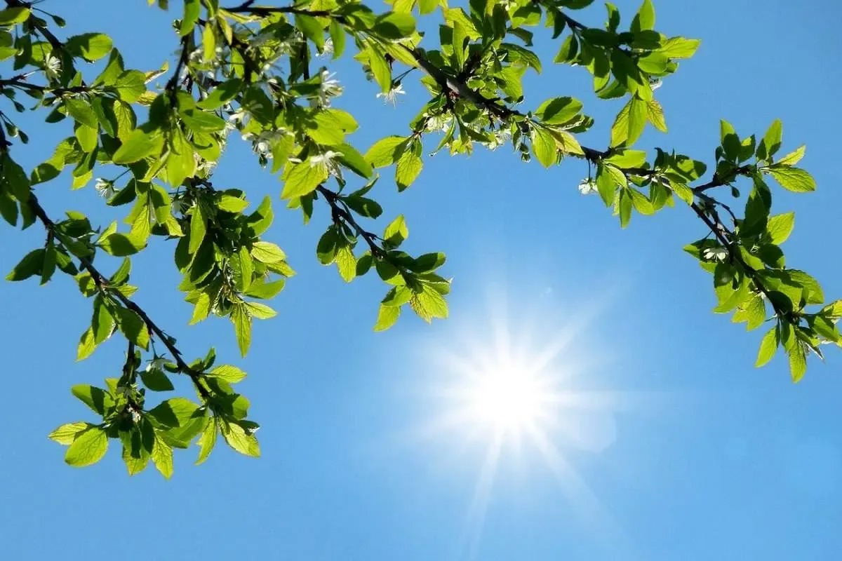 پیش بینی افزایش دما، شرجی، رگبار و تندباد در خوزستان
