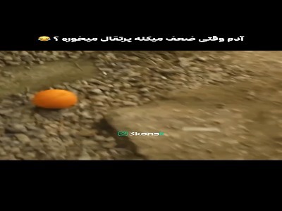 آدم وقتی ضعف می کنه پرتقال می خوره؟