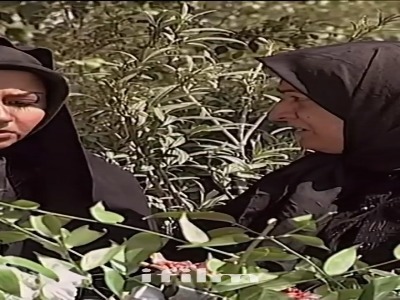 مادر شوهر در همه حال طرفدار پسرشه