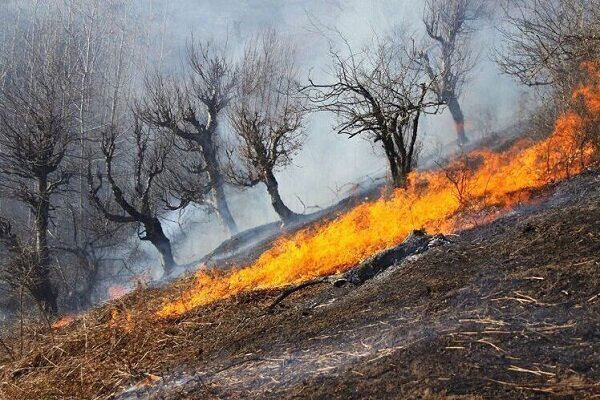 مهار آتش‌سوزی در چهار منطقه عرصه طبیعی خوزستان
