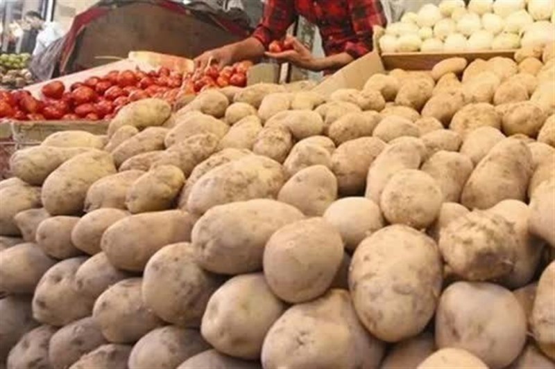 ترمز صادرات صیفی‌جات در فارس کشیده شد