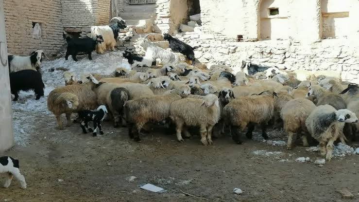 پیام خوزستان
