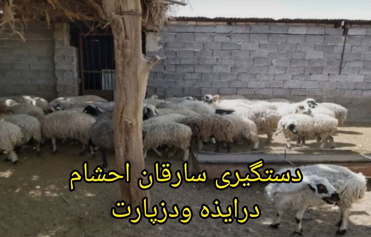 اعتراف سارقان احشام به ۱۸ فقره سرقت در ایذه و دزپارت