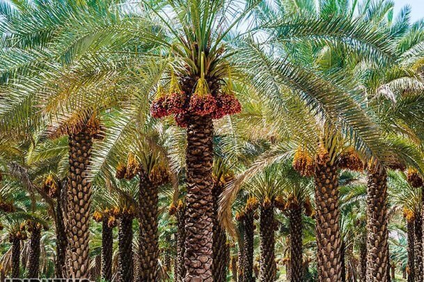 پیام خوزستان