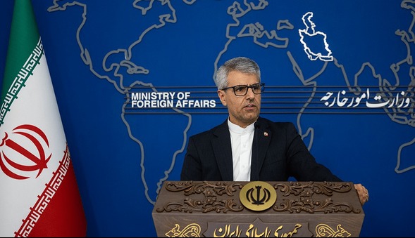 واکنش سخنگوی وزارت خارجه به نگرانی غربی‌ها از احتمال خروج ایران از NPT