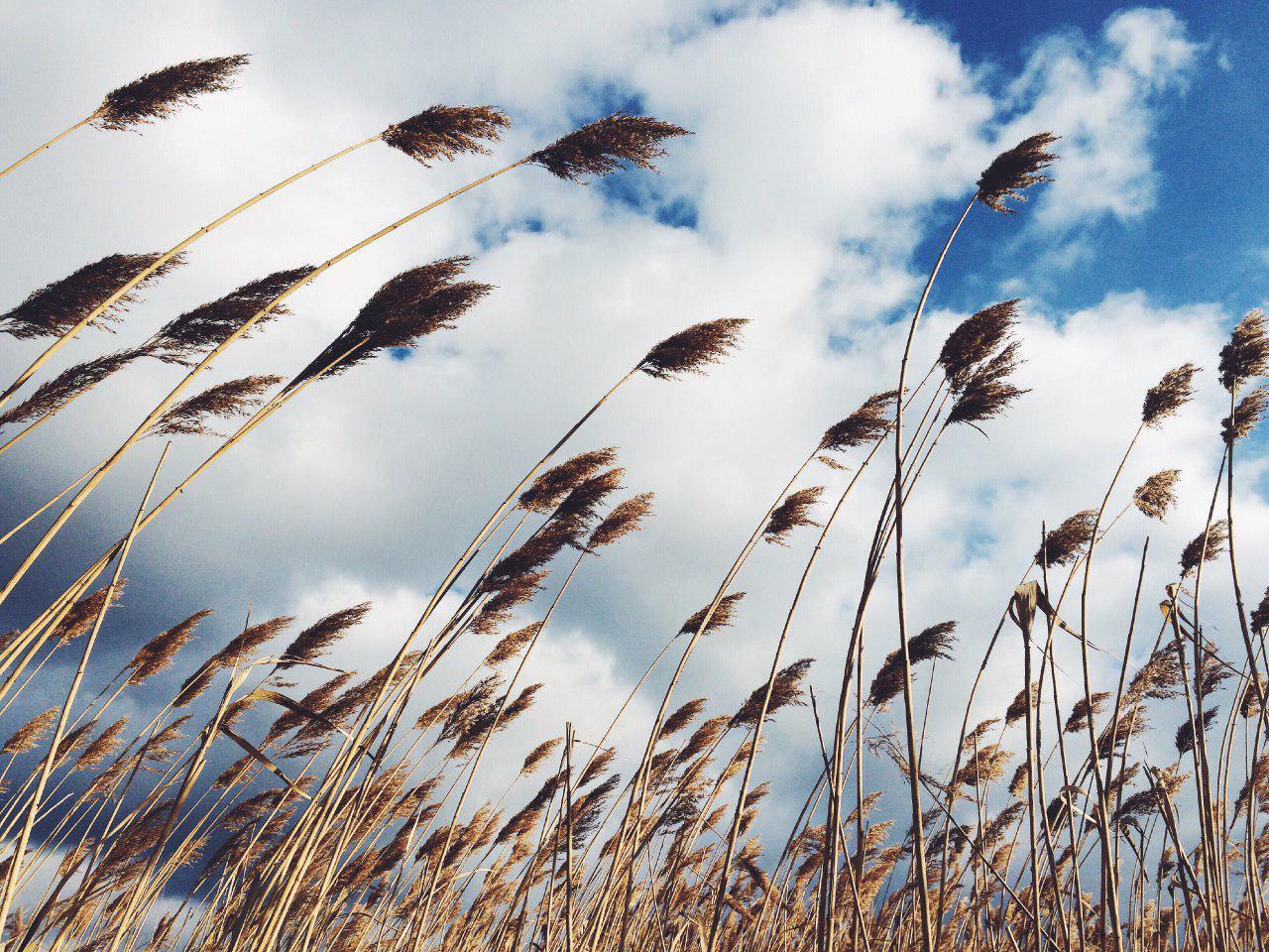 افزایش دمای هوای استان قزوین تا پایان هفته