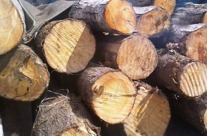 پیام خوزستان