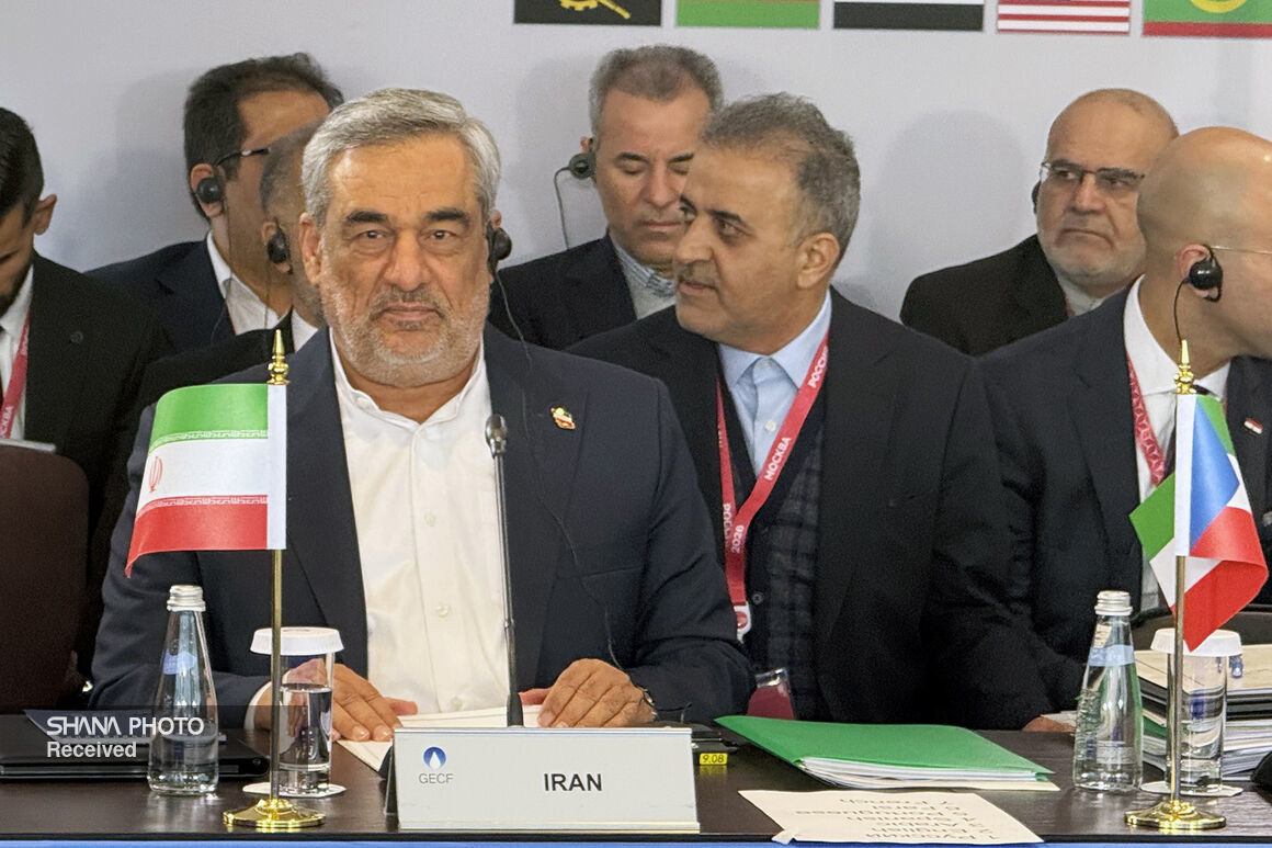 امنیت انرژی جهان در گرو احترام به حاکمیت ملی کشورهاست